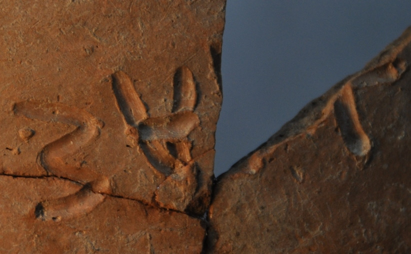 d7